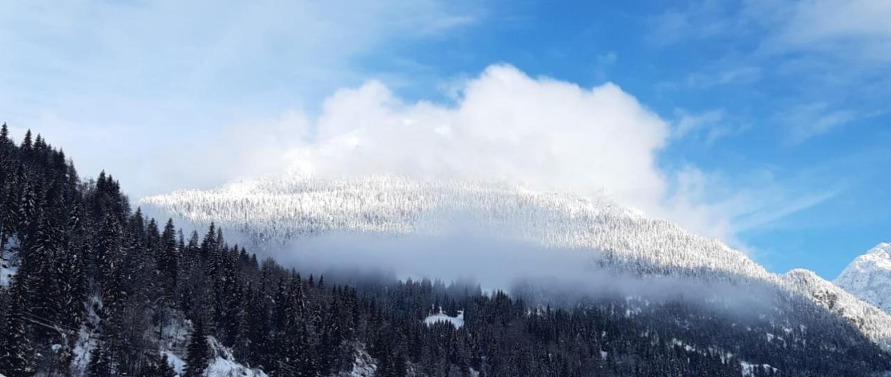 Hotel Genzianella Presenaio Buitenkant foto
